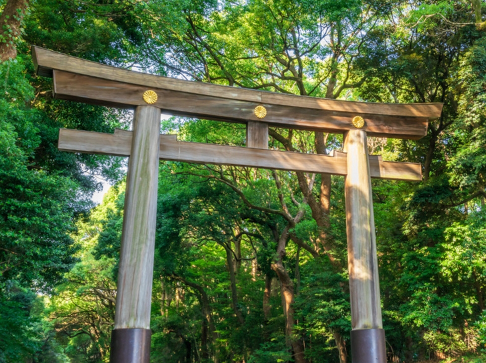 明治神宮御苑の無料拝観